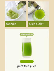 Slow Cold Press Juicer with Larger Feed Chute